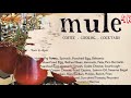 Brunch Mule Coffee Manchester UK