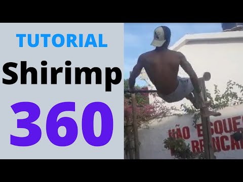 Tutorial #2 | Shirimp Flip 360