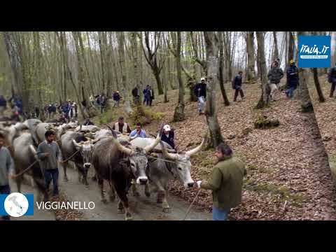 0083 Viggianello Potenza | BASILICATA | Borghi Viaggio Italiano