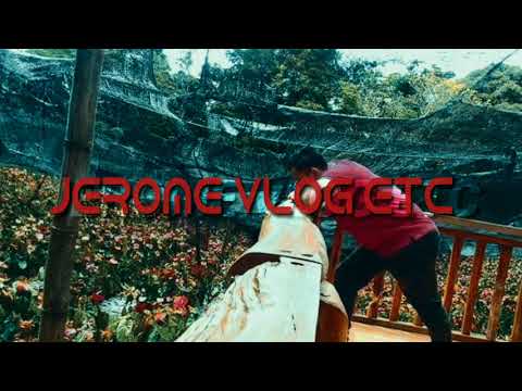 WATCH : WHITE SHARK TIKTOK SONG REMIX