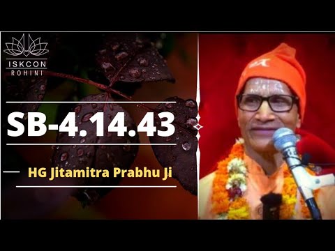 SB-4.14.43 ll By ll HG Jitamitra Prabhu ji