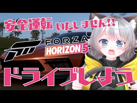 【Forza Horizon 5】参加型 メキシコを駆け抜けろ！悲鳴が鳴り響くドライブ配信【VTuber 晩景緋音】156