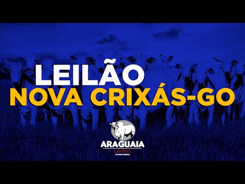 ARAGUAIA LEILÕES | NOVA CRIXÁS-GO 19/04/2024 | LEILÃO DE GADO AO VIVO