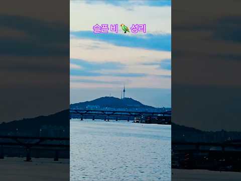#슬픈비#성리#신곡#뮤비 #듣는순간무너지는보이스