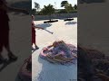 Realistic CGI Octopus Churro Taking A Bath And Sheding Skin Houdini FX Original Video