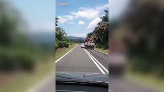 Download lagu Sungguh memukau tontonan ini. Saya kasih nilai 100 untuk sang sopir truk 😁🫰‼️#shorts #totokschannel  mp3 Download lagu Sungguh memukau tontonan ini. Saya kasih nilai 100 untuk sang sopir truk 😁🫰‼️#shorts #totokschannel  mp3