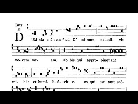 Dominica X post Pentecosten (X Sunday after Pentecost) - Introitus (Dum clamarem)