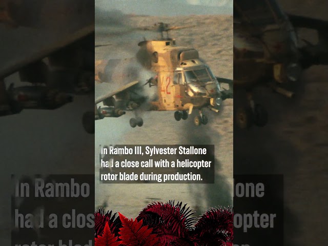 Helicopter Fact