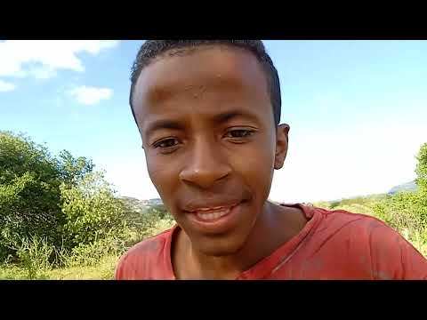 GILMAR MOSTRA OS XIQUE-XIQUE DO SERTÃO DO NORDESTE 