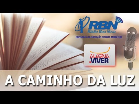 04 - Livro A Caminho da Luz - A Vida Organizada 02