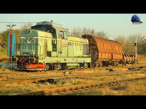 LDH1250 80-0489-2 & Local de MARFĂ/Local Freight Train in Gara Oradea Station - 09 November 2018