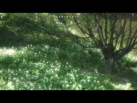 Ngày mai rồi sẽ ổn thôi...|Nop - ChenYueLong