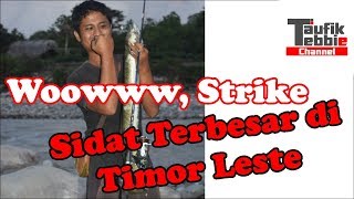 preview picture of video 'Strike Sidat Terbesar di Timor Leste'
