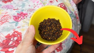 Put CLOVES under BED. Your problems will disappear
