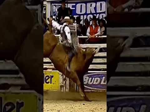 🇺🇲 Cody Hart rode Maximus for 93.75 points #shorts #viralvideos #cowboys #agro #rodeo