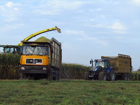 Mais hakselen met Jonh Deere hakselaar en loonwerker van mulders