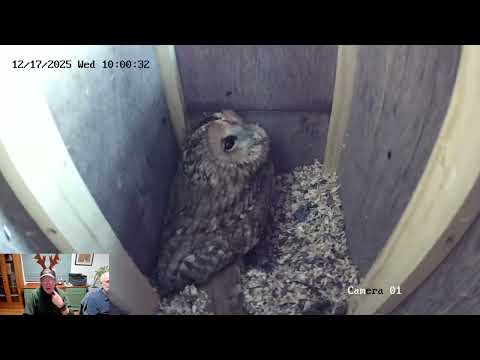 Hawk and Owl Trust Live with Chris Sperring