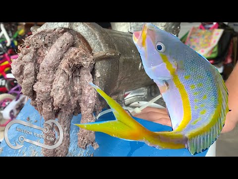 MAKING YOUR OWN CHUM BLOCK FOR SNAPPER FISHING - A CHEAP BUT SUCCESSFUL RECIPE