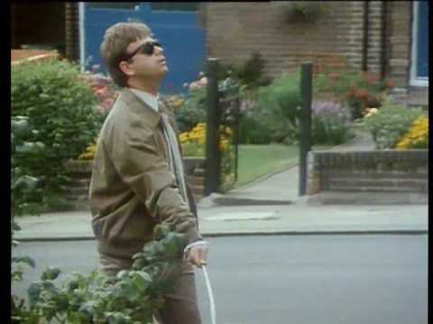 Hale and Pace - Guide Cat