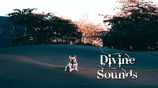 SICK INDIVIDUALS - We Got It All (feat. MPH)