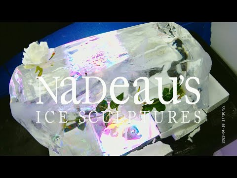 Flowers From Ice - Freeze-In Melt Timelapse