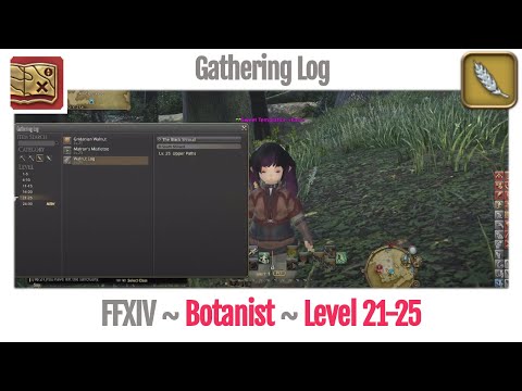 FFXIV Botanist Gathering Log Level 21-25 - A Realm Reborn