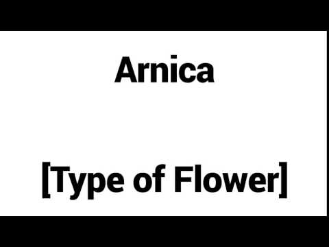 How to Pronounce Arnica! - Middle Eastern Names