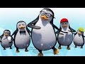 Five Little Penguins Baby Songs Five Little Babies Cartoon Nursery Rhymes For Kids Kids Tv