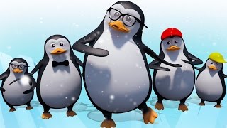 Five little penguins | 3D baby songs | five little babies | cartoon nursery rhymes for kids