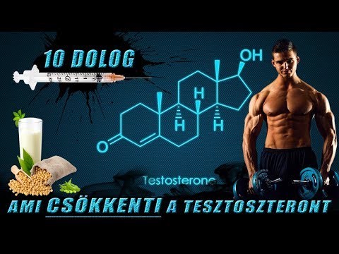 Himalája, ameddig az út vitt - Kerékpárral a világ körül Fogyás haridwarban