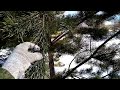 Пчеловодство.Зелёный ,,Алиэкспресс,,пчеловода, для здоровья пчел.