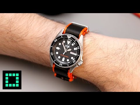 5 Popular Dive Watches on My 6-inch Wrist