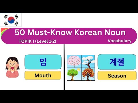 🇰🇷 50 Must-Know Korean Words for Beginners | Learn Basic Korean Vocabulary