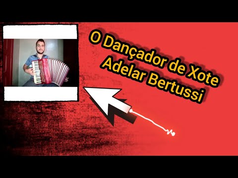 Dançador De Xote - Os Bertussi