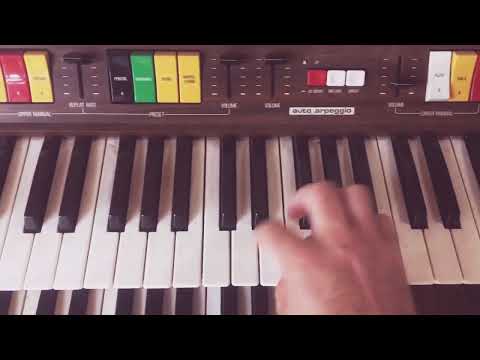 Órgano Kawai Electro Chord Bass II