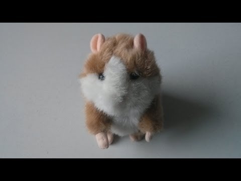 Inception feat. Fotzenpeter