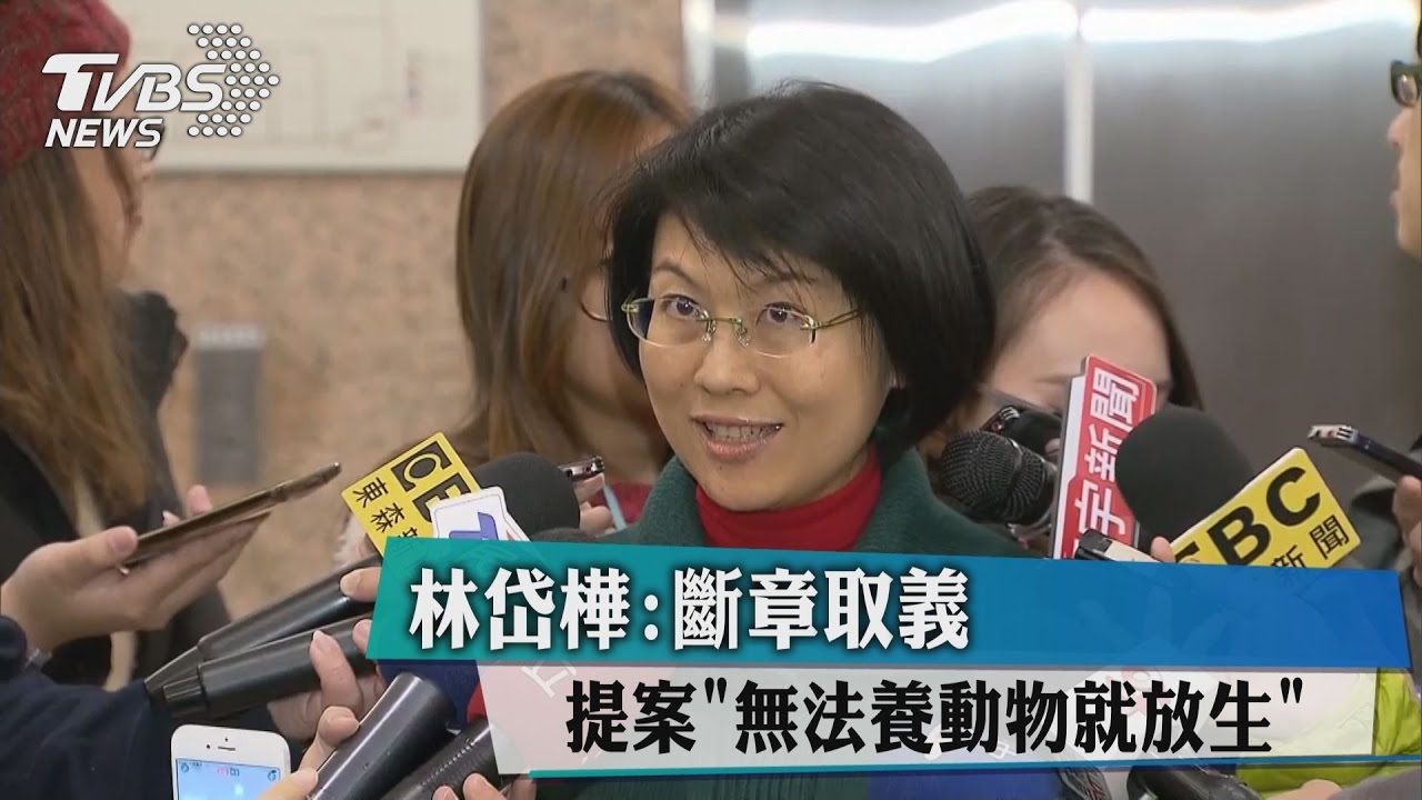 提案「無法養動物就放生」 林岱樺:斷章取義