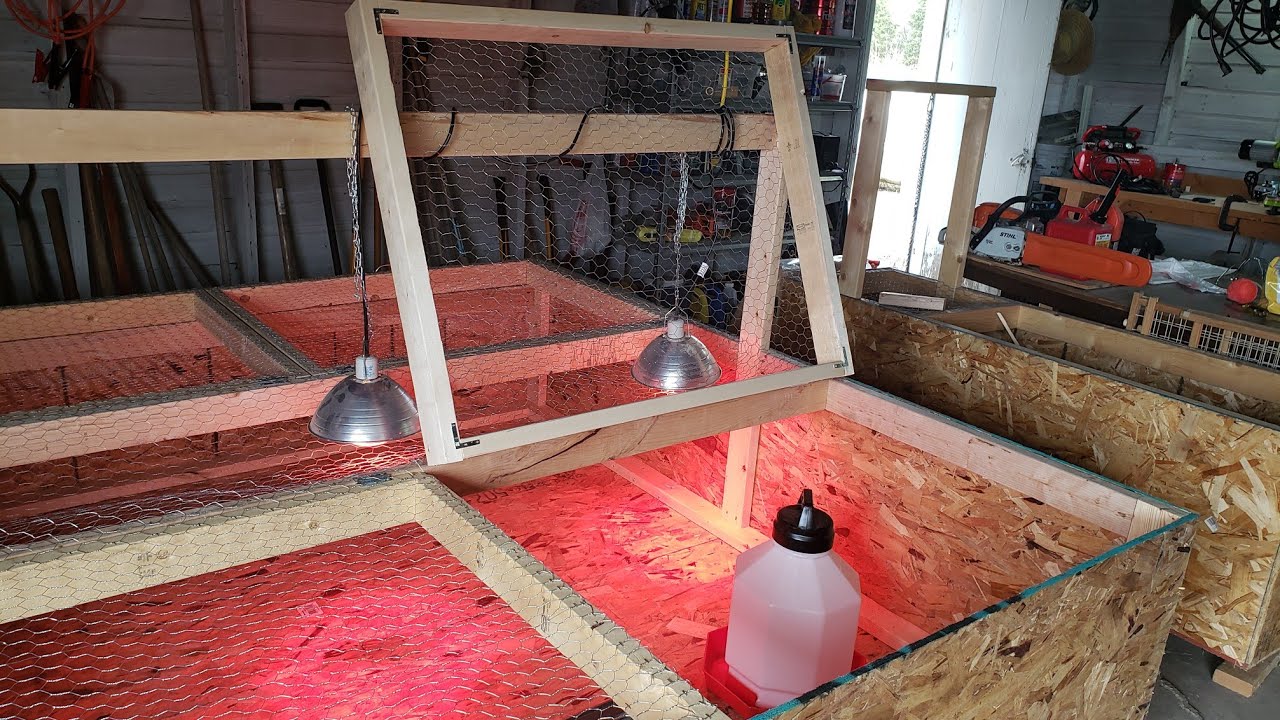 DIY Chicken Brooders (large and small)