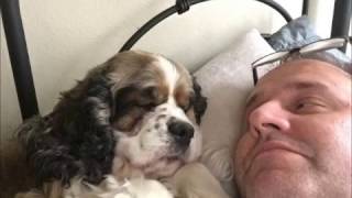 2016 - From Here To The Moon & Back