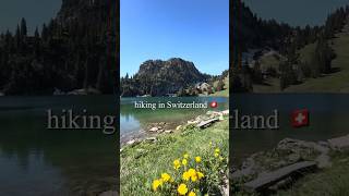 スイスでハイキング🇨🇭🏔️🌼#switzerland #hiking #stockhorn