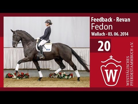 20 Fedon  Wallach v. Feedback - Revan