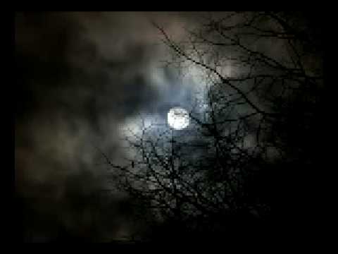 Đêm nguyệt quỳnh Sheet - Bảo Yến