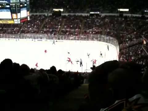 red wings vs predators 2-17-12