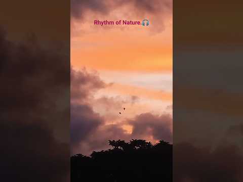 Taal se Taal//Sukhwinder Singh//Rhythm of Nature//Different Shades of the Sky#Shorts♥️🤍💙💚🧡💛🖤🤎💜🎵💓