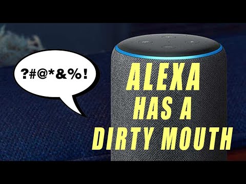 Alexa secretly recorded my filthy mouth and put it on my shopping list.