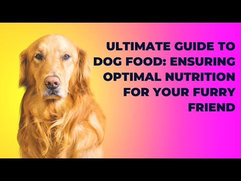 Ultimate Guide to Dog Food: Ensuring Optimal Nutrition for Your Furry Friend