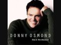 Seasons Of Love: Donny Osmond-This is the Moment