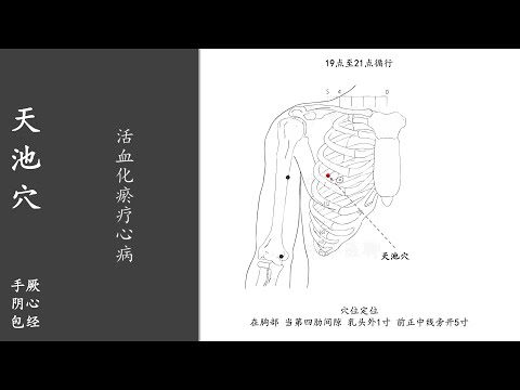 天池穴