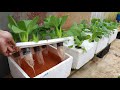 Growing Hydroponic Vegetable Garden at Home – Easy for Beginners | DHD Garden รายงาน pdf a4 png