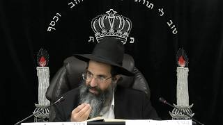 מסכת בבא בתרא - דף יז: - יח. | חלק 34 | הרב שי עובד (הרב שי עובד) - התמונה מוצגת ישירות מתוך אתר האינטרנט יוטיוב. זכויות היוצרים בתמונה שייכות ליוצרה. קישור קרדיט למקור התוכן נמצא בתוך דף הסרטון